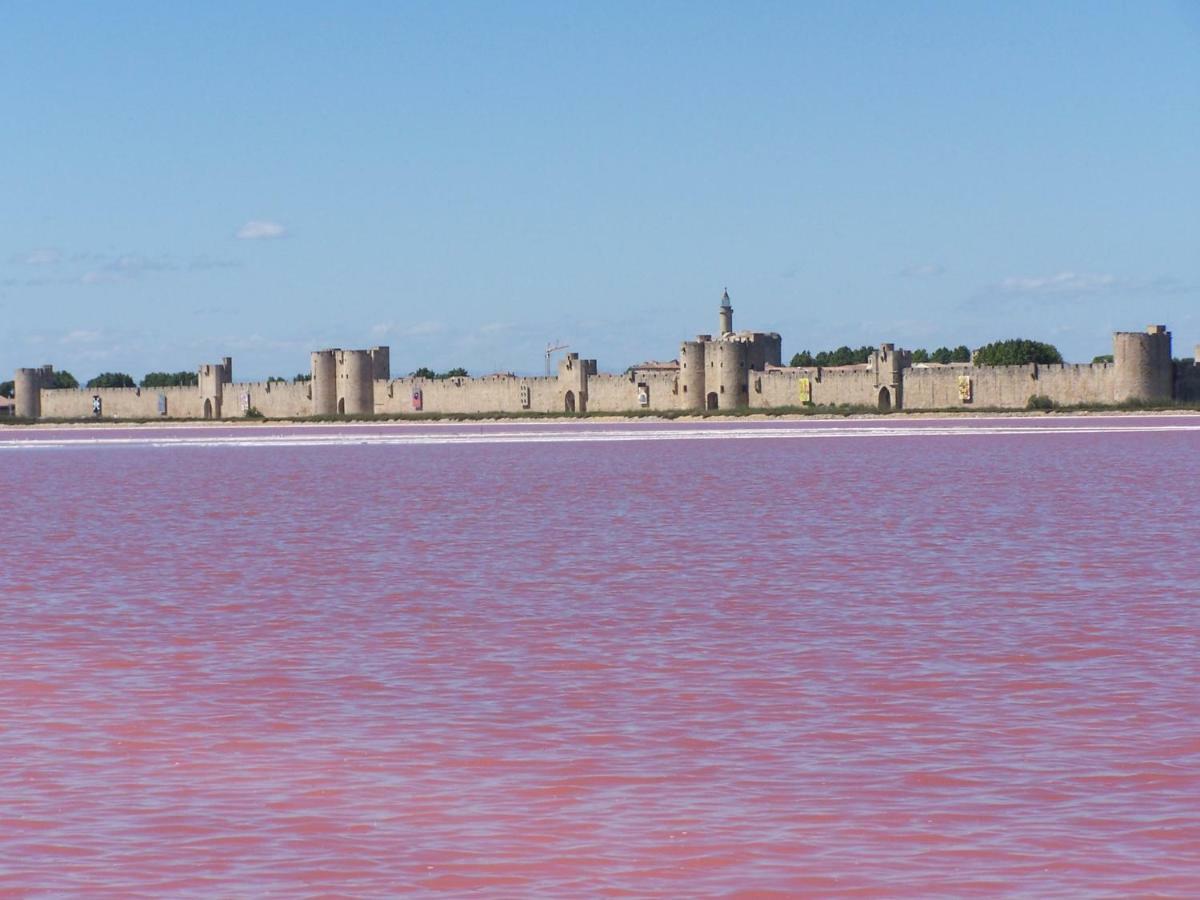 Aigues-Mortes Villa Pres Des Remparts Exteriér fotografie